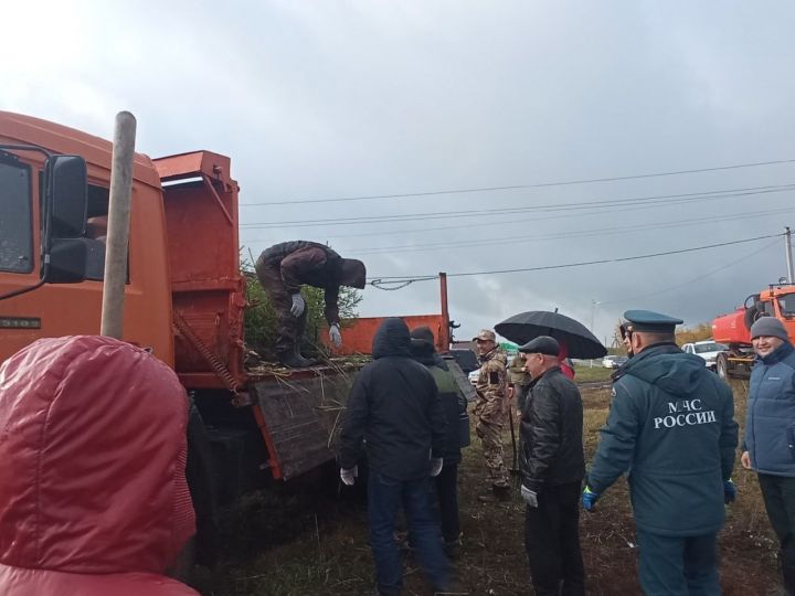 В Мензелинске состоялась акция по посадке деревьев