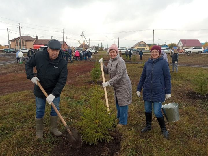 В Мензелинске состоялась акция по посадке деревьев