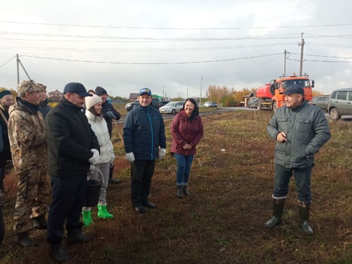 В Мензелинске состоялась акция по посадке деревьев