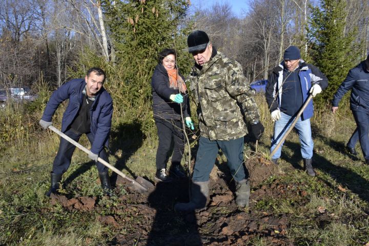 В Мензелинске состоялась массовая посадка лип