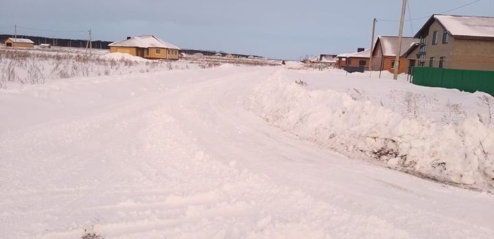 За январь с улиц города Мензелинска вывезено 5154 тонны снега