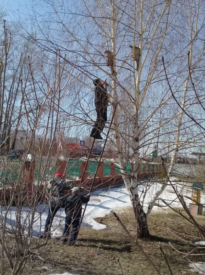 Экоактивисты СОШ 2 подарили скворечники жильцам дома-интерната для престарелых и инвалидов г. Мензелинск