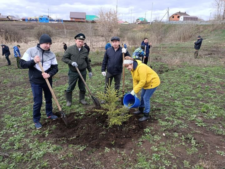 В Мензелинске приступили к посадке деревьев в рамках акции "Сад памяти"