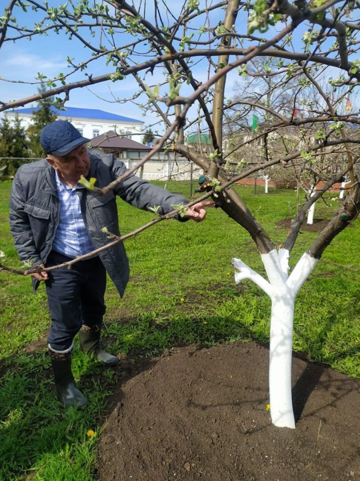 Глава Мензелинского района Айдар Салахов ознакомился с ходом работ на строительных объектах города