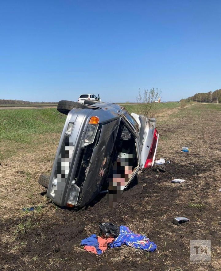 Водитель автомобиля погиб, вылетев в кювет с трассы в Татарстане