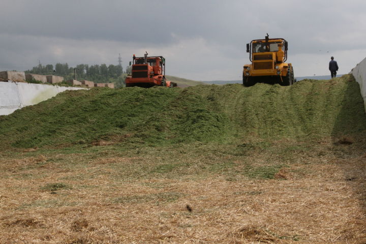 В Мензелинском районе продолжается заготовка кормов на зимний период