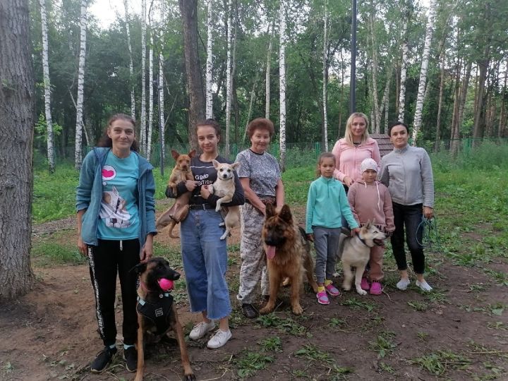 Жительница Мензелинска добилась постройки специализированной площадки для выгула и тренировки собак