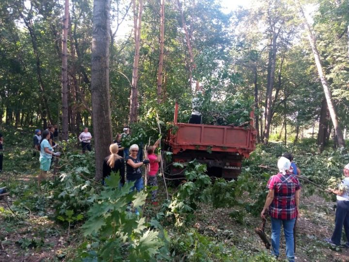 В Мензелинске в парке Ленина в результате коллективного субботника навели чистоту и порядок