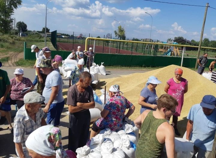 В Бикбулове выдали ячмень за паевые земли