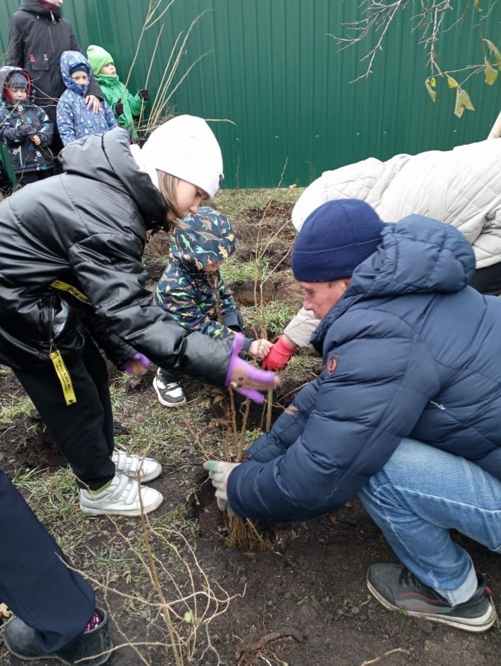 В детском саду «Березка» прошла экологическая акция «Посади дерево»