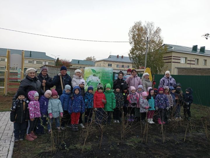 В детском саду «Березка» прошла экологическая акция «Посади дерево»