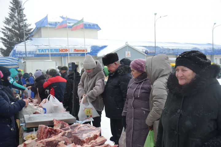 В Мензелинске прошла ярмарка, отражающая богатство сельскохозяйственной отрасли района