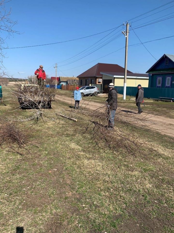 В селе Нижние Юшады общими усилиями провели субботник