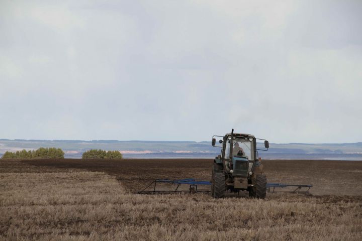 В Мензелинском районе начались весенние полевые работы