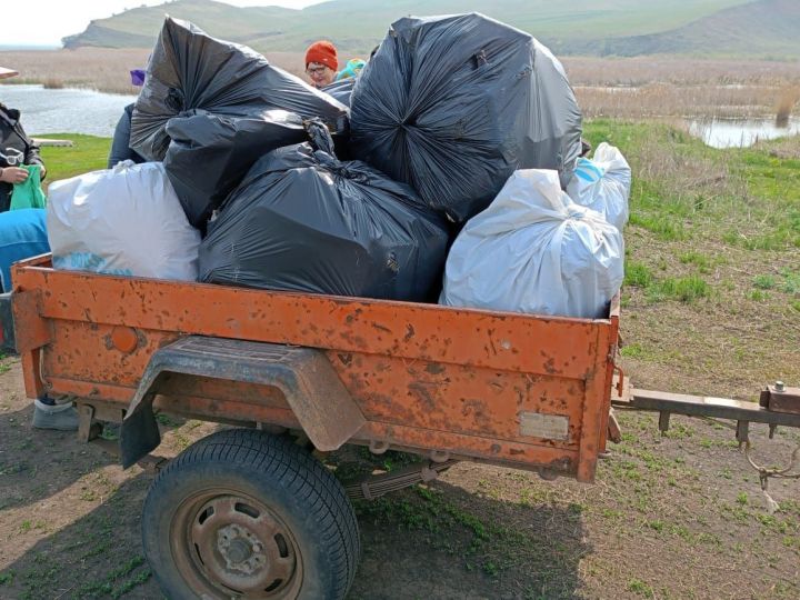 В Урусовском сельском поселении состоялась акция «Чистый берег»