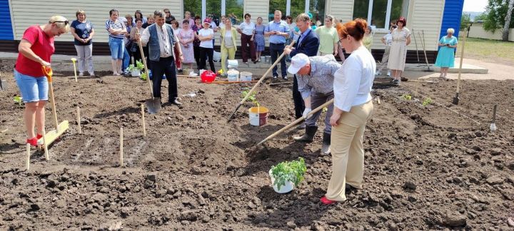 Кандидат сельскохозяйственных наук Харис Камалиев научил мензелинцев сажать овощи