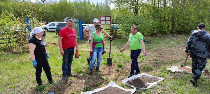 Пока другие сажают морковь и свеклу, лесники сеют семена деревьев