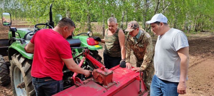 Пока другие сажают морковь и свеклу, лесники сеют семена деревьев