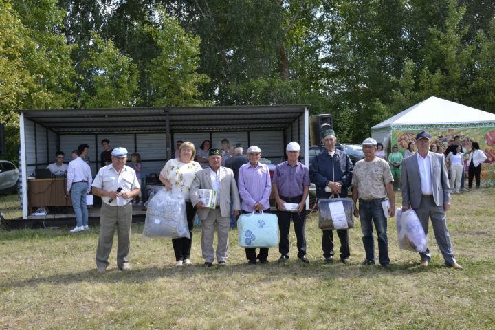 В Старом Иркеняше на Дне села наградили передовиков