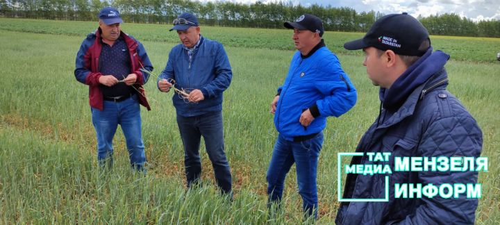 Сельчане продолжают трудиться, радуясь каждой капле дождя и надеясь на урожай