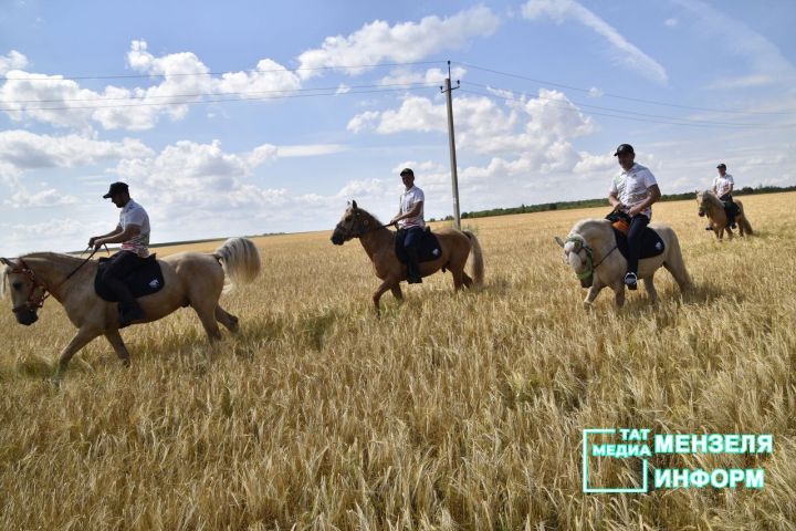 Татарские кони проскакали по Мензелинской земле