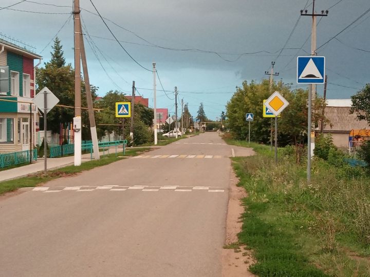 Новые дорожные знаки установлены на одной из улиц Мензелинска