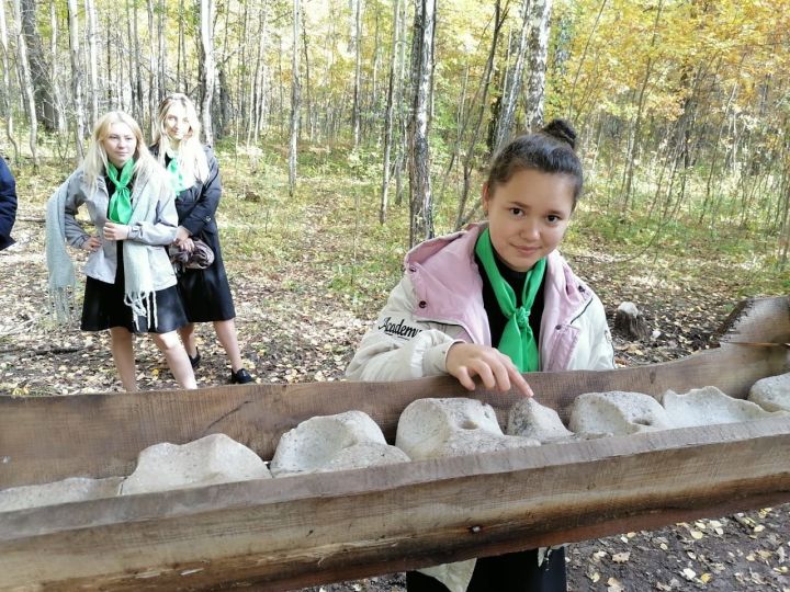 В Татарстане стартует акция по установке кормушек для диких животных