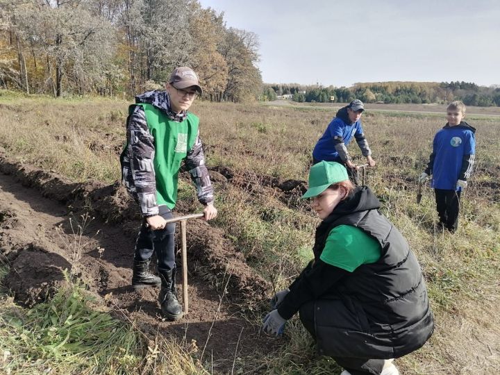 Мензелинцы присоединились к Всероссийской акции «Сохраним лес»