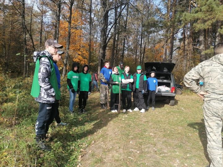 Минзәләлеләр «Урманны саклыйк» Бөтенроссия акциясенә кушылды