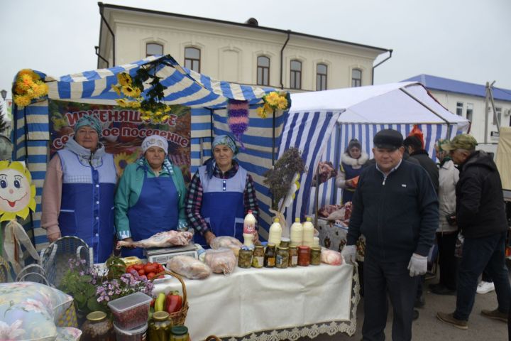 В Мензелинске состоялась ярмарка, посвященная Декаде пожилых