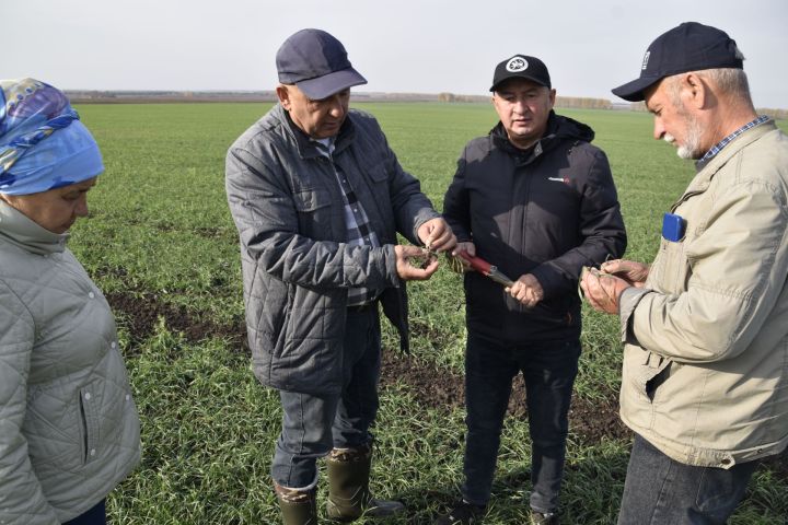 Состоялся объезд главы Мензелинского района по сельским поселениям и хозяйствам