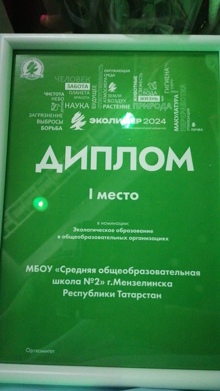 Средняя школа № 2 Мензелинска стала победителем республиканского конкурса «Эколидер- 2024»
