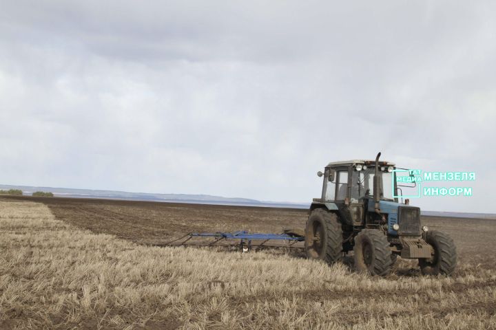 Для земледельцев Мензелинского района наступил жаркий период