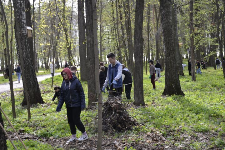 В парке имени Ленина города Мензелинска прошел общегородской субботник