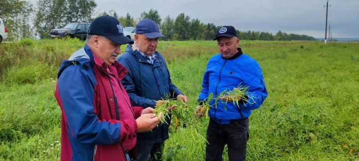 Завершен учет пустующих зданий в селах Мензелинского района