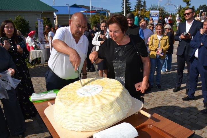 На первом республиканском семейном фестивале сыра в Мензелинске зарегистрировали всероссийский рекорд