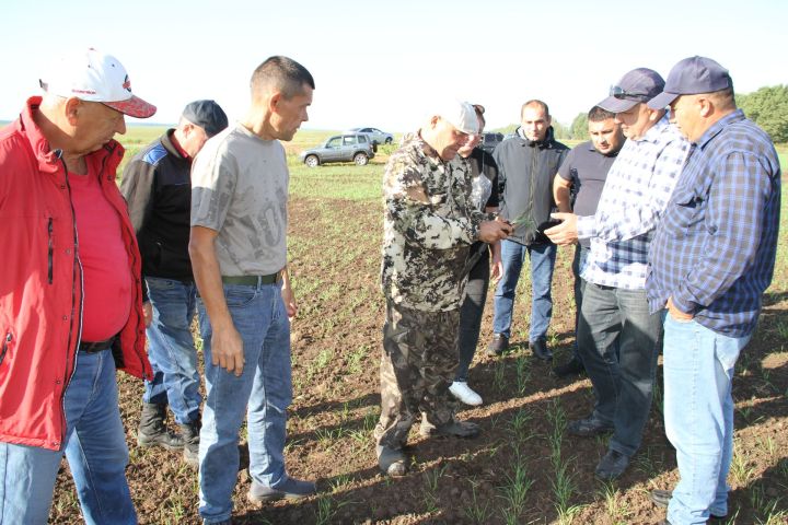 Минзәлә районы башлыгы басуларны карап йөрде, җитәкчеләр белән очрашты