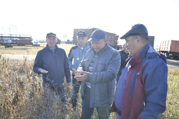 Минзәлә районы башлыгы хуҗалыкларда башкарылучы эшләр белән танышты