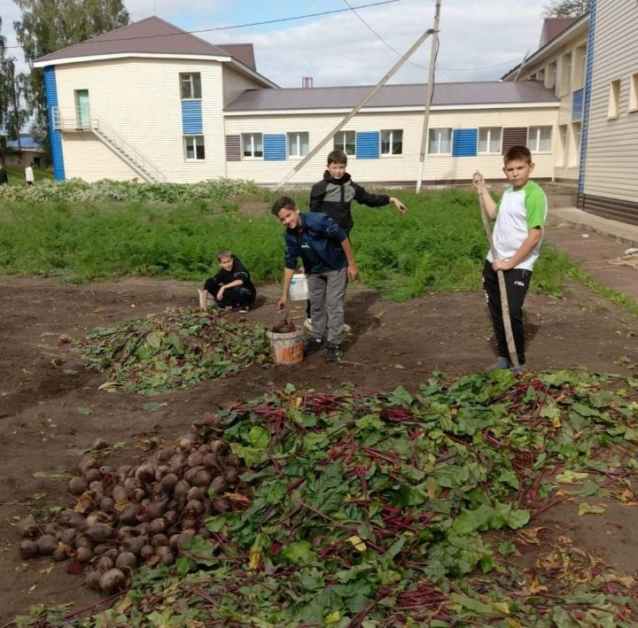 Минзәлә районының Коноваловка мәктәбендә бүген хәйриячелек көне булды