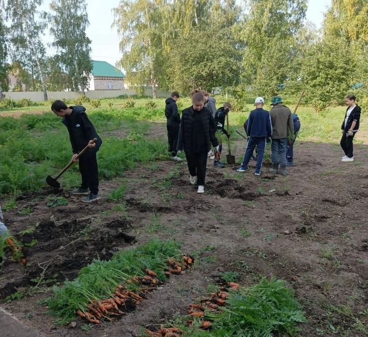 Минзәлә районының Коноваловка мәктәбендә бүген хәйриячелек көне булды